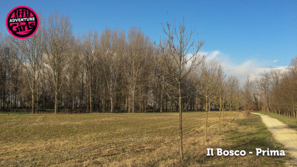 Il Bosco prima e dopo