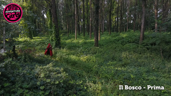 Il Bosco prima e dopo