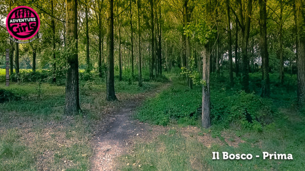 Il Bosco prima e dopo