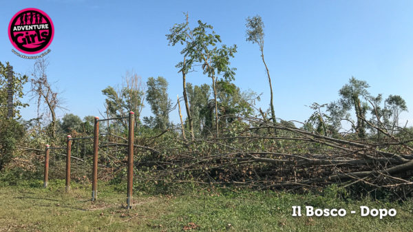 Il Bosco prima e dopo