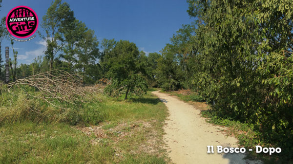 Il Bosco prima e dopo