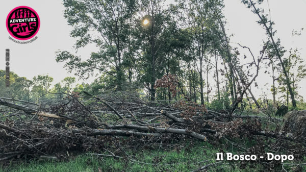 Il Bosco prima e dopo