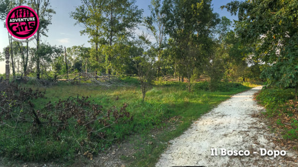 Il Bosco prima e dopo