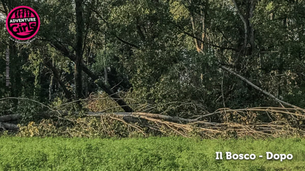 Il Bosco prima e dopo