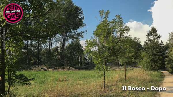 Il Bosco prima e dopo